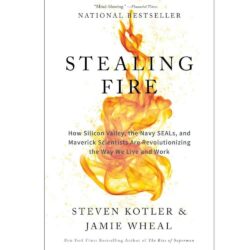 Stealing Fire